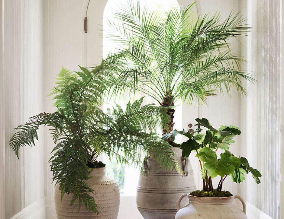 Fake Plants That Look Real: Scrutinizing the Artificial Greenery