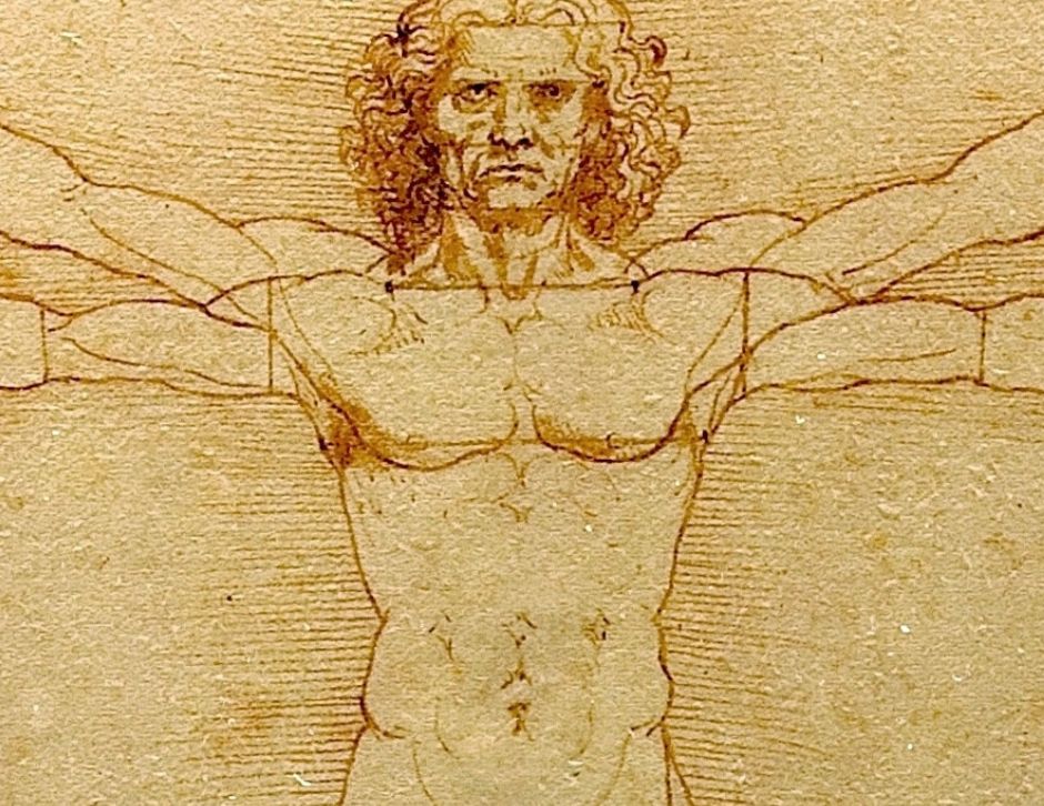 Not Just an Architectural Sketch, The Vituvian Man Might Have Predicted Modern Medicine